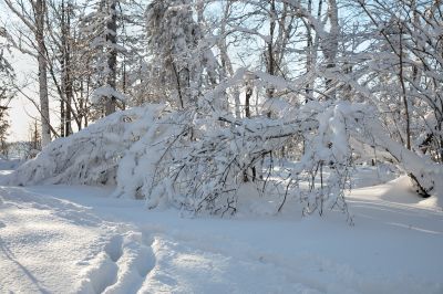 冰雪画廊