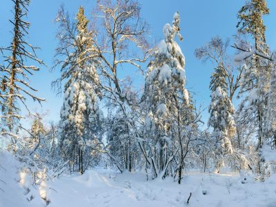 冰雪画廊