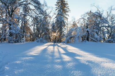 冰雪画廊