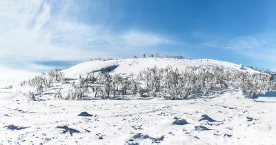 冰雪画廊