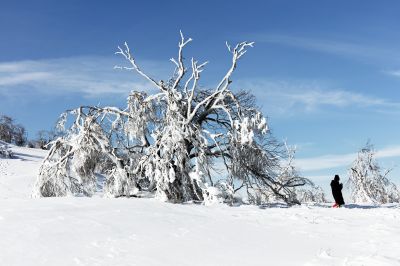 冰雪画廊