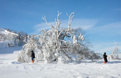 冰雪画廊