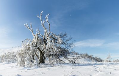 冰雪画廊