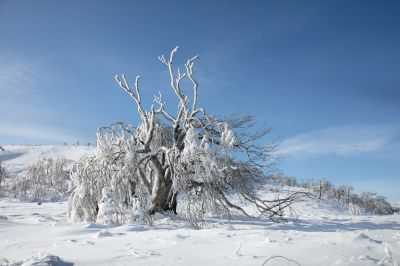 冰雪画廊