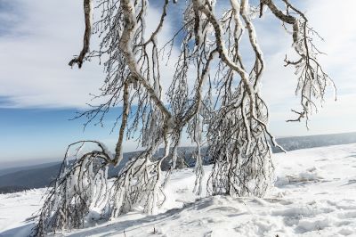 冰雪画廊