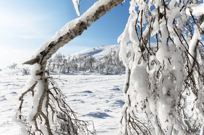 冰雪画廊