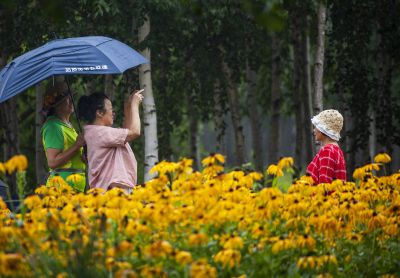 雨中花海留念