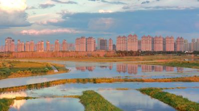 秋季外滩湿地公园