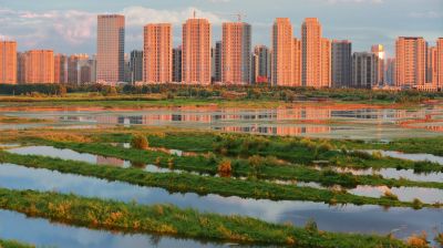 秋季外滩湿地公园