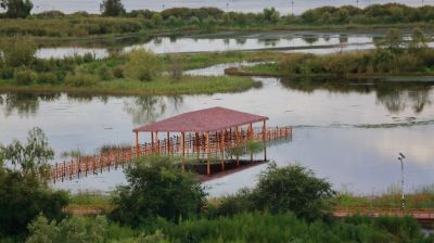 秋季外滩湿地公园