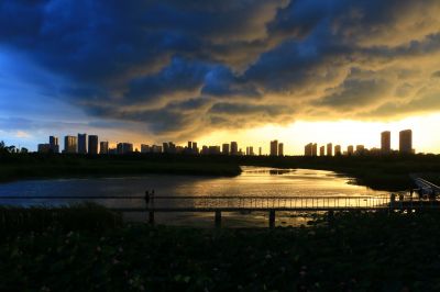 雷雨之前哈尔滨大剧院湿地