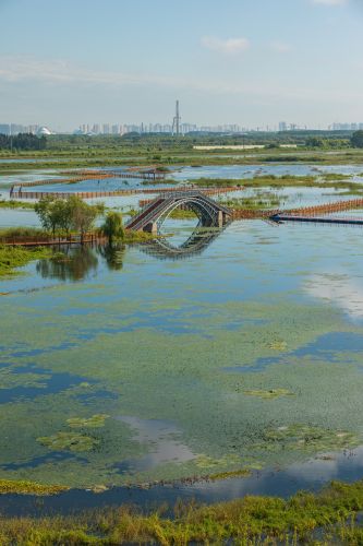 涨水后的外滩湿地公园