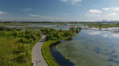 涨水后的外滩湿地公园