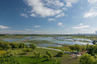 涨水后的外滩湿地公园