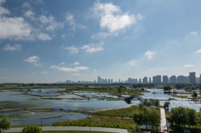 涨水后的外滩湿地公园