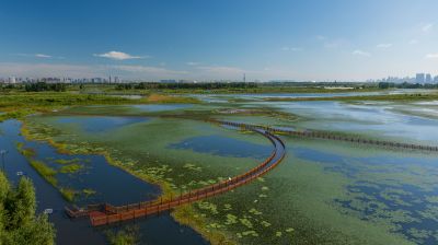 外滩湿地公园