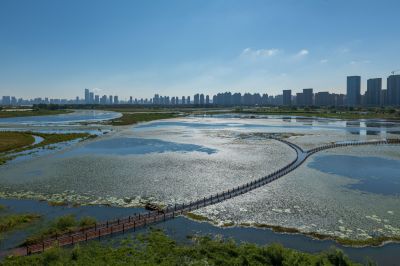外滩湿地公园