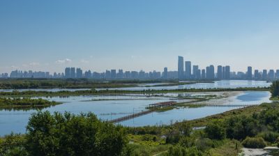 外滩湿地公园