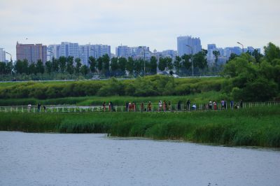哈尔滨大剧院湿地荷塘