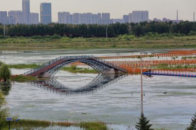 涨水后外滩湿地公园