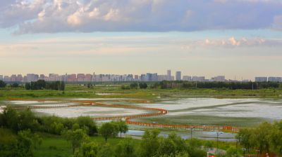 涨水后外滩湿地公园
