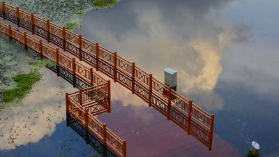 涨水后外滩湿地公园