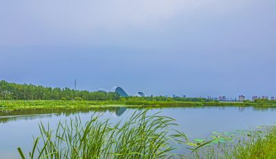 大剧院湿地风光