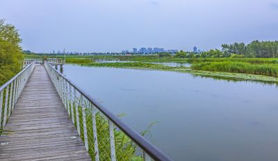 大剧院湿地风光