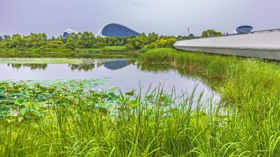 大剧院湿地风光