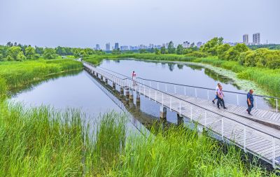 大剧院湿地风光