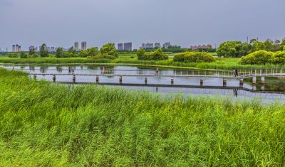 大剧院湿地风光