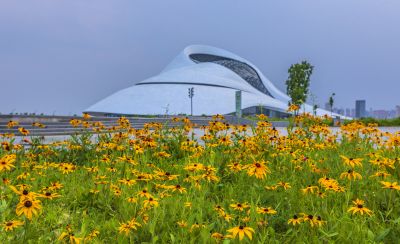 大剧院湿地风光