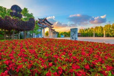 中国亭园夏日