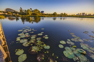 阳明滩湿地