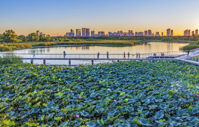 阳明滩湿地