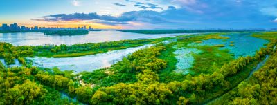 阳明滩湿地晨光
