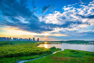 阳明滩湿地晨光
