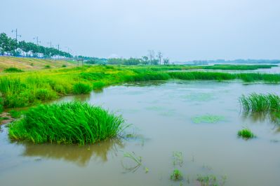 大剧院江畔风景
