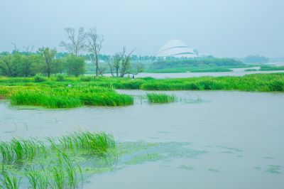 大剧院江畔风景