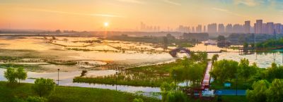 外滩湿地夏日美景