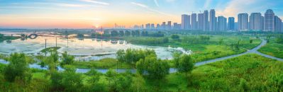 外滩湿地夏日美景