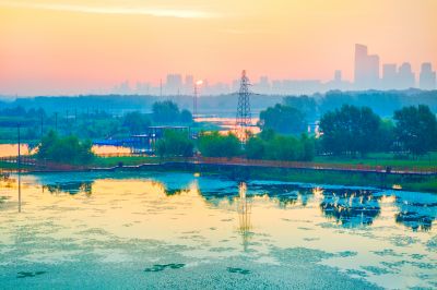 外滩湿地夏日美景