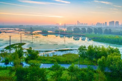 外滩湿地夏日美景