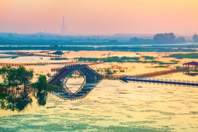 外滩湿地夏日美景