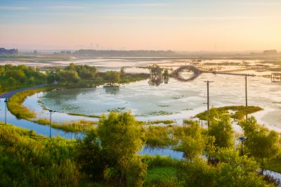 外滩湿地夏日美景