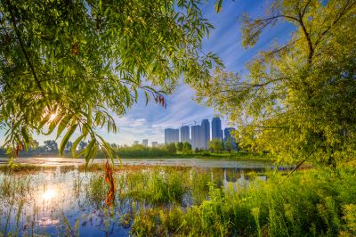 外滩湿地夏日美景