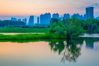 外滩湿地夏日美景