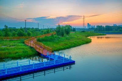 外滩湿地夏日美景