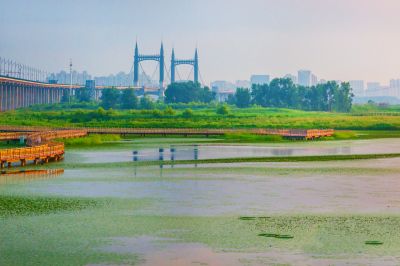 外滩湿地夏日美景