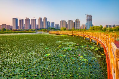 外滩湿地夏日美景